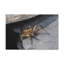 No Frame Print on Canvas-190741111
