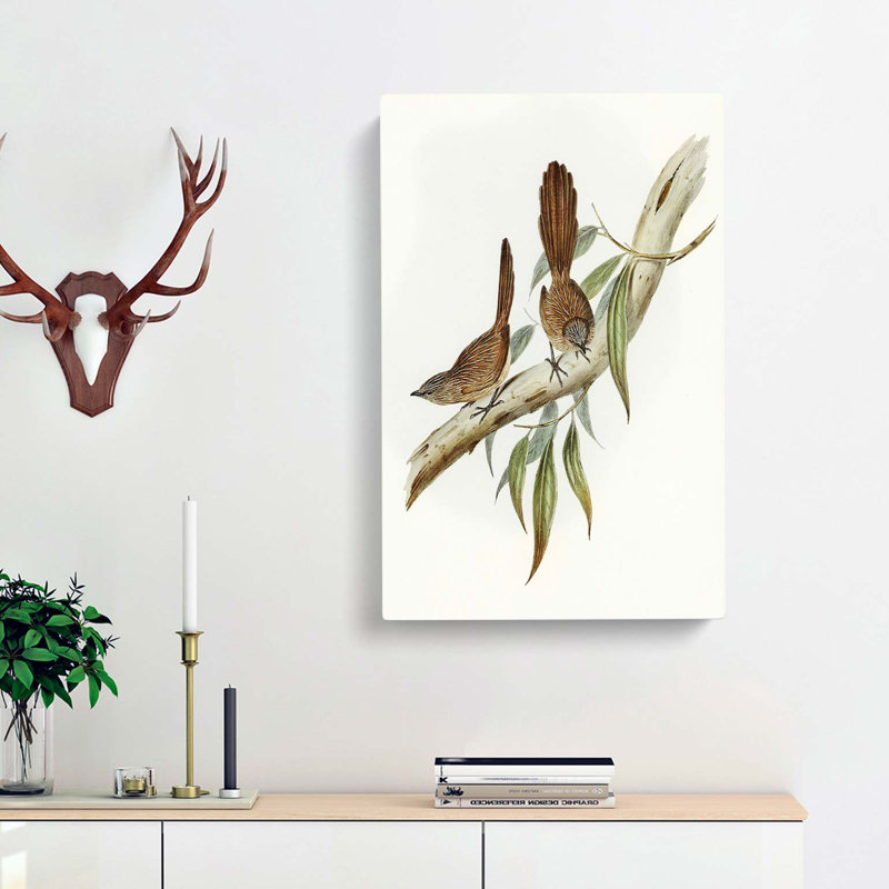 Large-Tailed Wrens by Elizabeth Gould - Wrapped Canvas, 50cm H x 35cm W x 3cm D