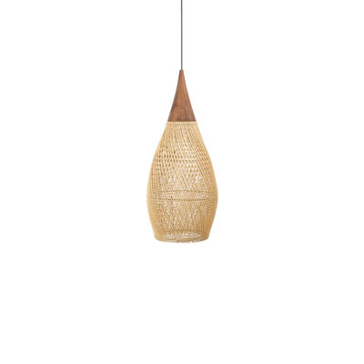 Luminaire suspendu 1 lumière Amhold