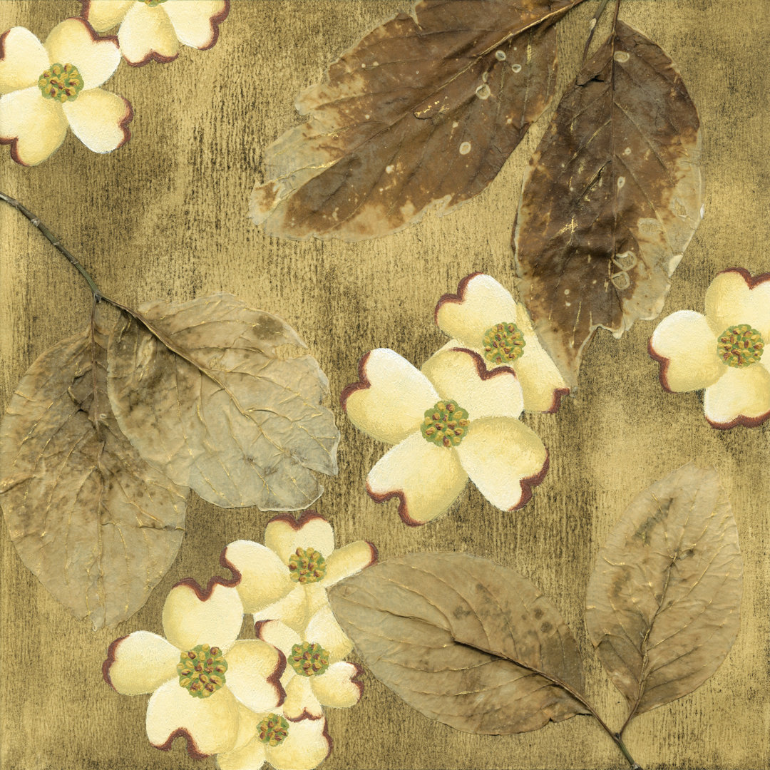 Leinwandbild Sun-Kissed Dogwoods II von Nancy Slocum