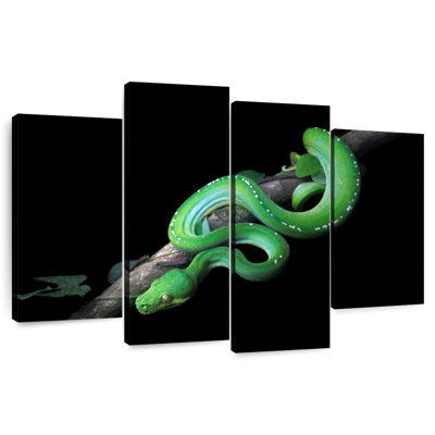 Python vert Brampt glissant sur une branche