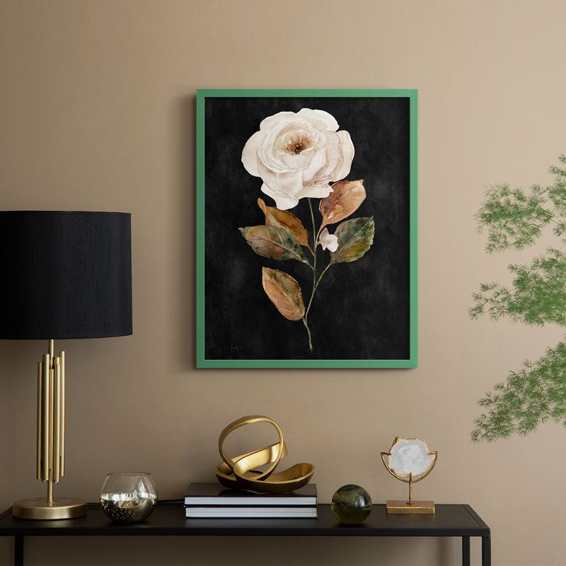 «Botanical on Black Wash II», reproduction encadrée - bois massif, H 30 po x l 24 po, Vert