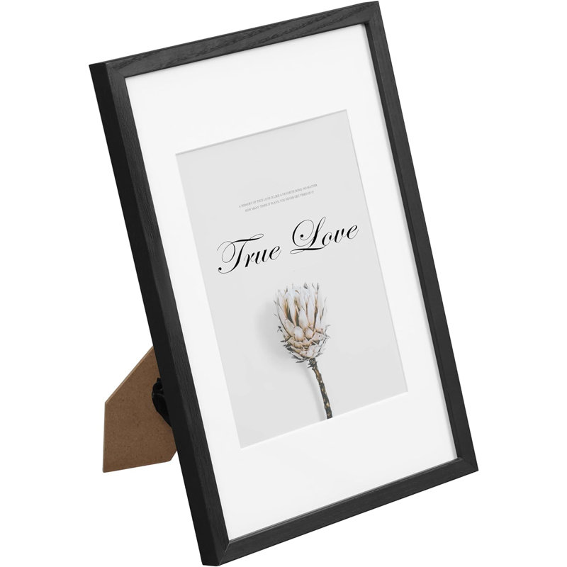 Beatric Picture Frame with Mat, 31.5cm H x 23cm W, Black