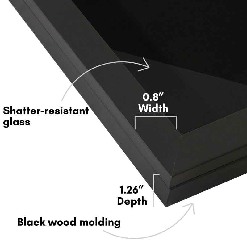 Boîte-cadre pour objets de collection avec verre incassable Americanflat 15 x 8,5 broches - noir
