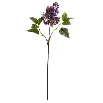 Lilac Stem
