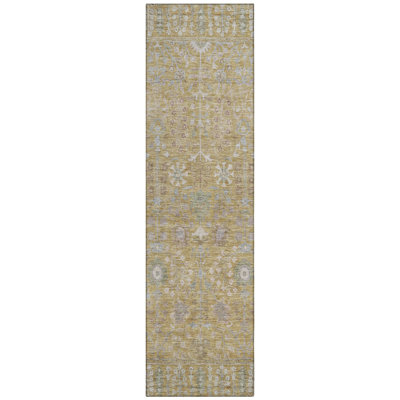 Machine Washable Indoor/Outdoor Kaczor ACN2231 Global Rug