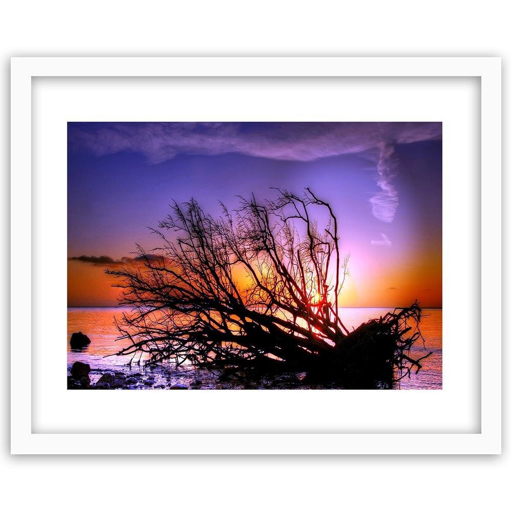 Gerahmter Fotodruck Zerbrochener Baum im Meer