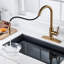 Blue Elephant Pull Down Kitchen Faucet-367607300