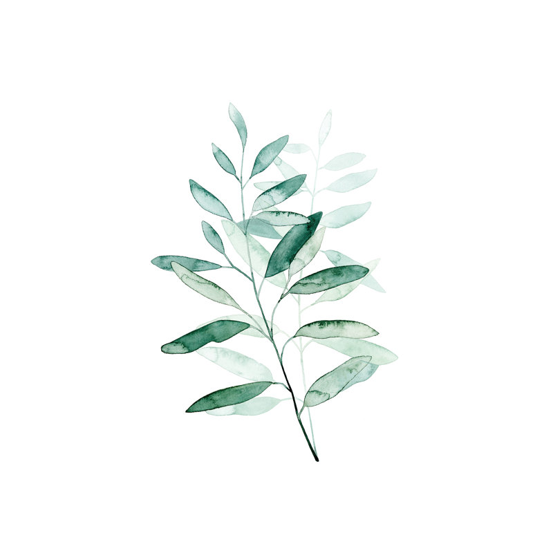 « Serene Reed I » par Grace Popp, reproduction d’art, H 48 po x l 32 po x P 1,5 po, Toile tendue