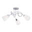 Flush Mount-2069373223