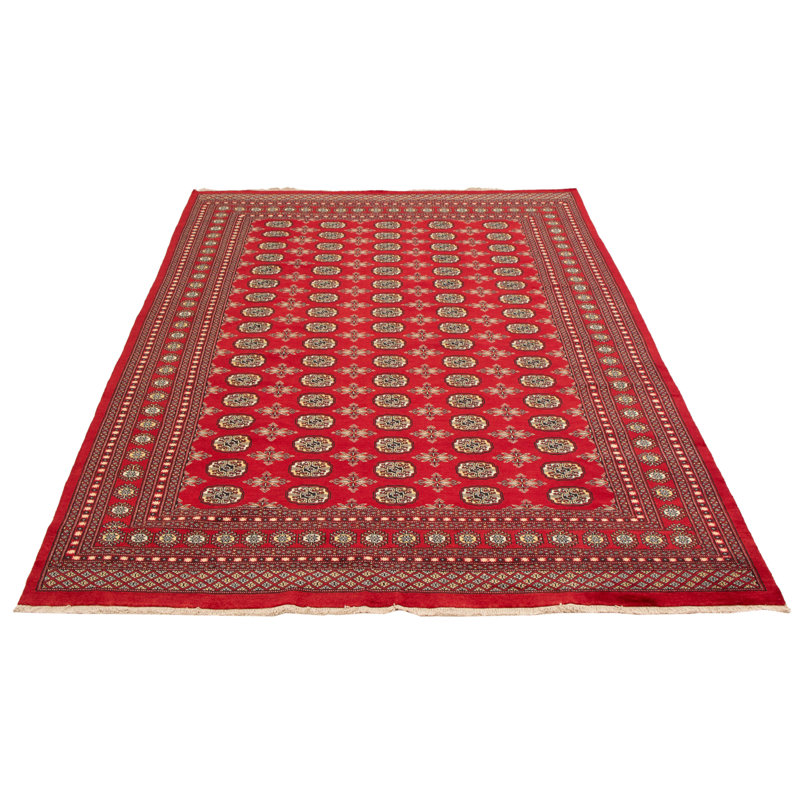 Tapis rouge Finha Peshawar Bokhara 8 pi 1 po x 10 pi 10 po