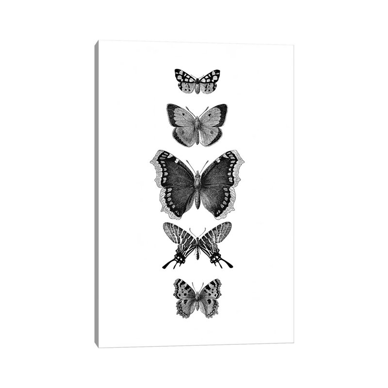 Inked Butterflies by Monika Strigel - Wrapped Canvas Print, 66.04 cm H x 45.72 cm W x 3.175 cm D