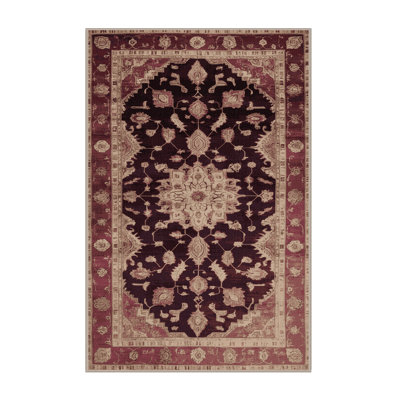 Machine Washable Overdyed Brown Area Rug