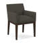 Upholstered Arm Chair-35998930-35999087