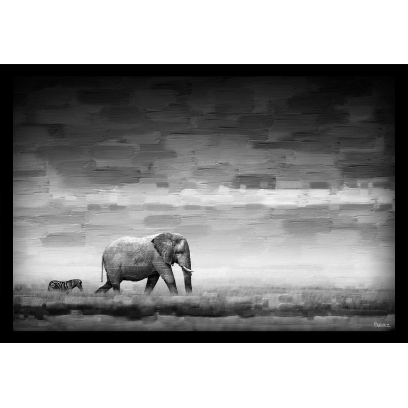 Wildlife 'Elephant' Print by Parvez Taj, 30" H x 45" W, Wrapped Canvas