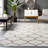 Amstelveen Geometric Beige/Gray Area Rug-1804203548