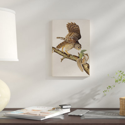 «Barred Owl and Squirrel», impression sur toile
