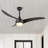 Coleigh 52'' Ceiling Fan with LED Lights-2010980607