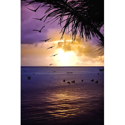 Hot Summer Sunset At Tropical Island Beach With Coconut Trees by Apomares - No Frame Print on Canvas