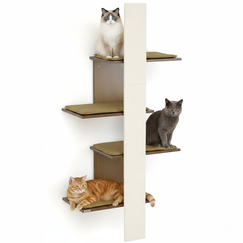 Étagères murales pour chat à 4 niveaux, système d'escalade mural pour chat