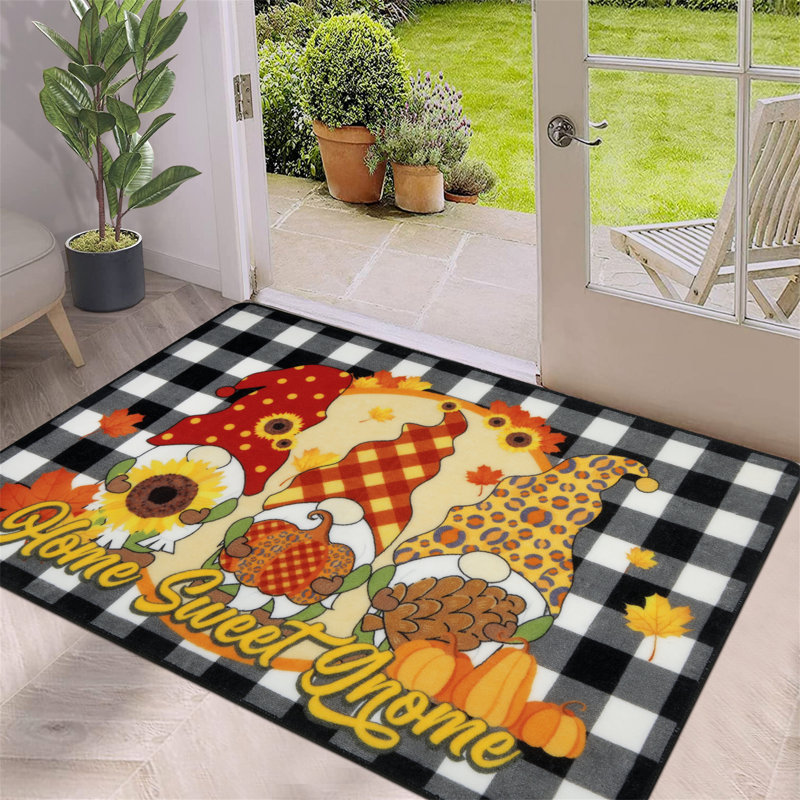 Emiliee Non-Slip Outdoor Doormat