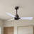 Alessandra 42'' Ceiling Fan-1421734444-1421734360
