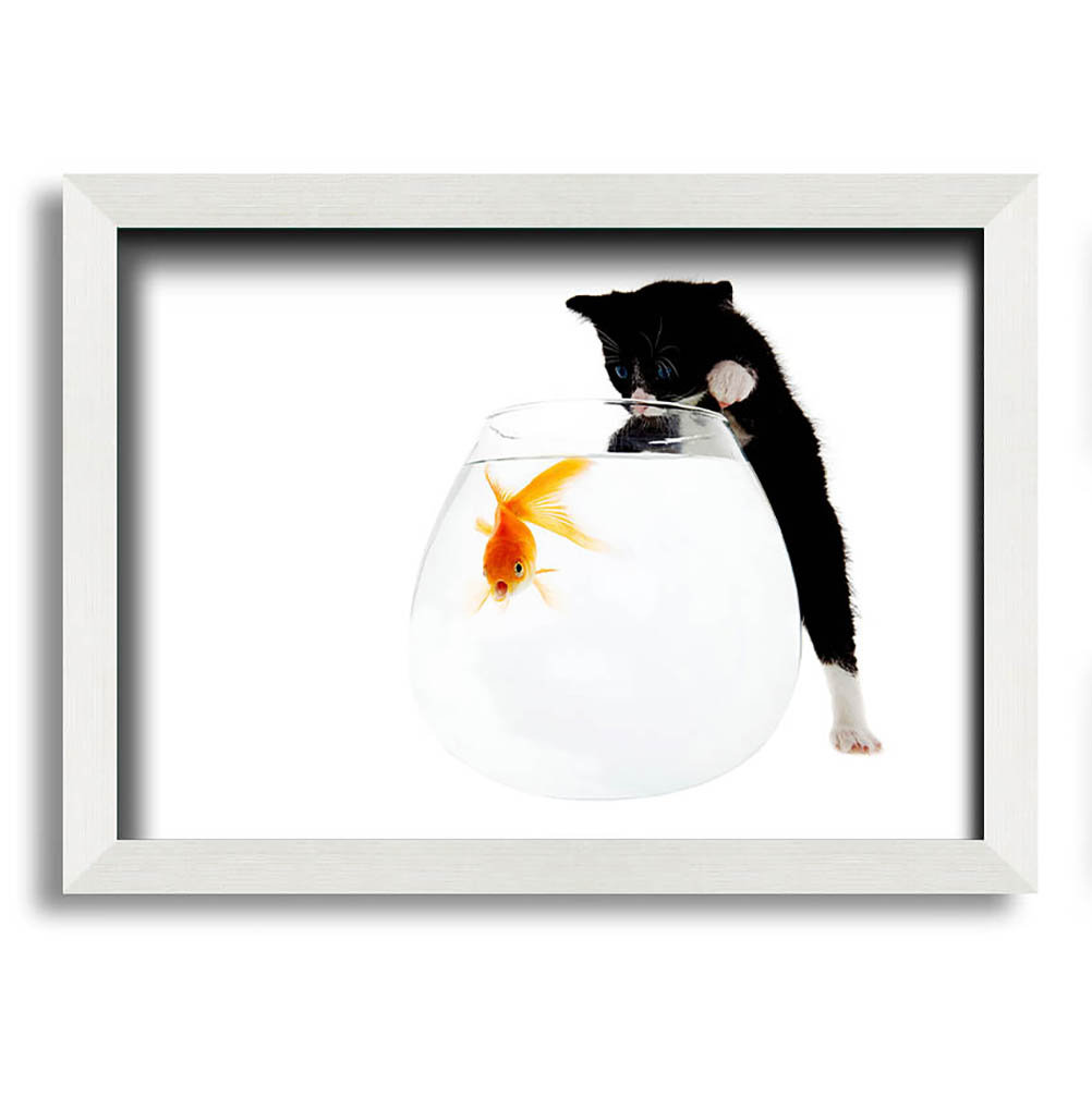 Kitten Fish Bowl - Einzelner Bilderrahmen Kunstdrucke