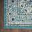 Oriental Indoor Rug