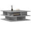 Pierina Frame Coffee Table-1579390993