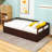 Levay Daybed with Trundle and 2 Drawers -1949978125