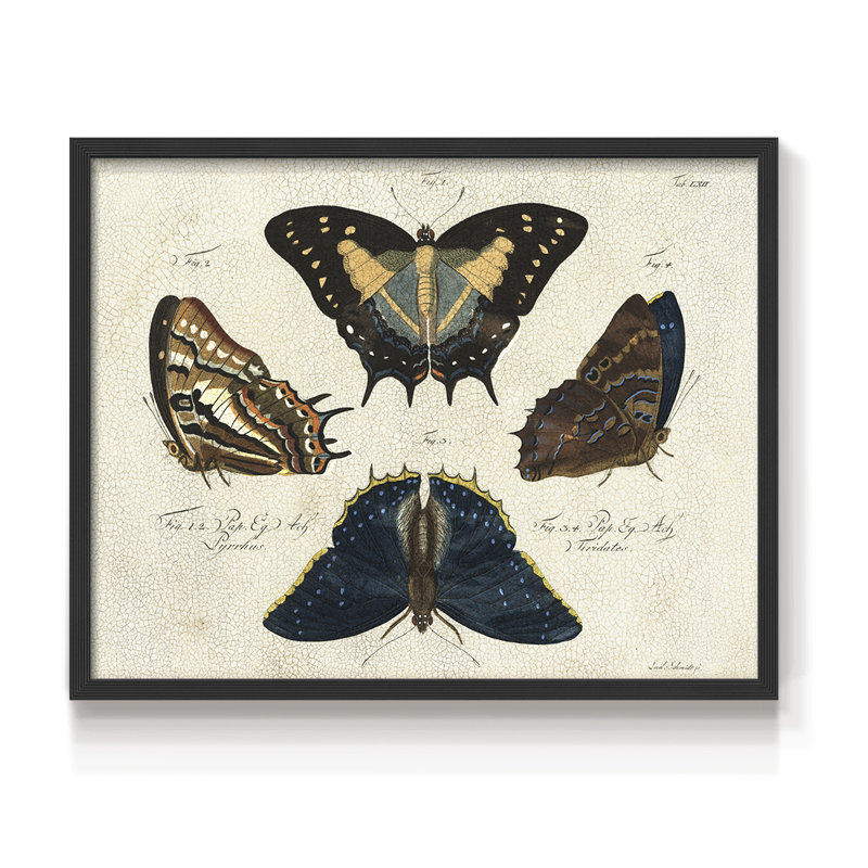 Crackled Butterflies IV -Framed Print - Restickable, Noir, noir, noir, noir, H 22 po x l 28 po