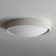 Carran Acrylic LED Flush Mount