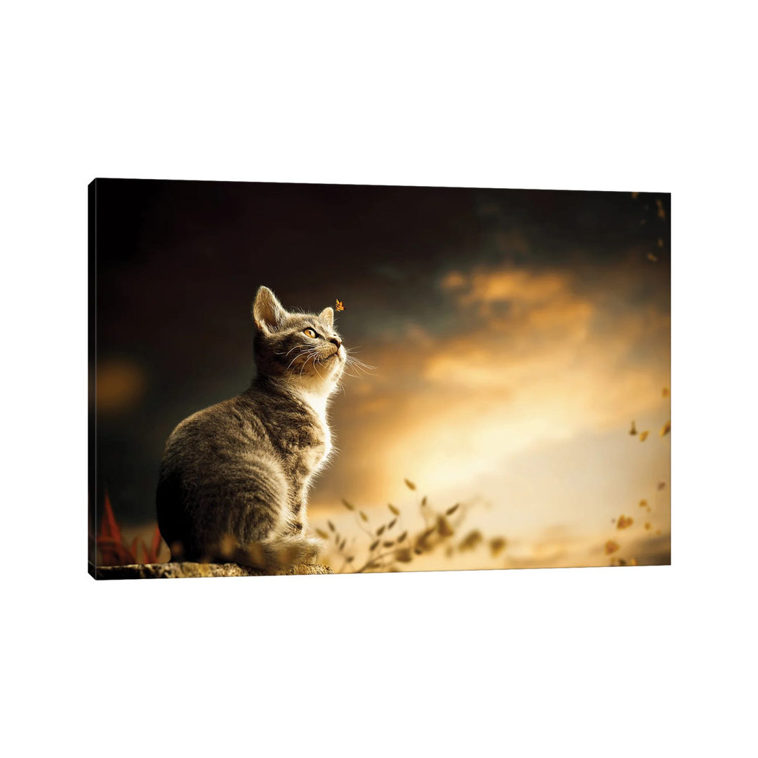 Cat by Milos Karanovic - Wrapped Canvas Print
