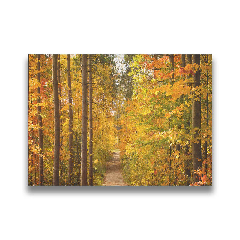 Promenade d'automne par Hal Halli. Toile giclée sur toile tendue avec cadre flottant, taille de l'image - 30 x 40