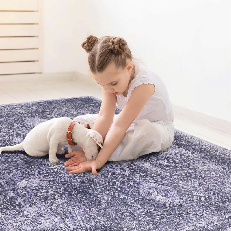 Area Rug 3x5, Machine Washable, Non-slip, Non-shedding, Low-pile, Foldable, For Living Room, Bedroom, Kitchen, Dining Room - Graceful Style Washable 3' X 5', Soft And Warm