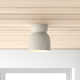 Logan Single Light Ceramic 8'' H X 7.5'' W  Flush Mount