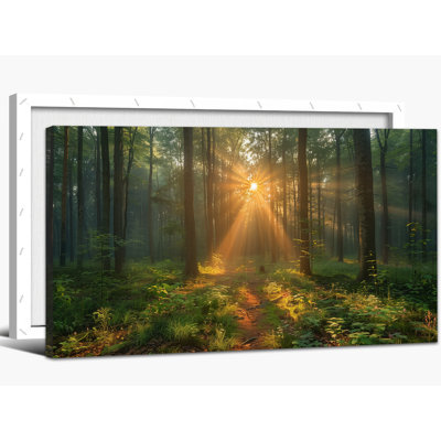 Forest Fitzsimmons Scenic Nature Prints Tranquil Tree Canvas Artwork Green Landscape Decor Horizontal Wrapped Painting for Living Room Bedroom, 12x14