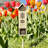 Estas Pollination Palace - Bee & Butterfly Wooden Home - Multi-Compartment, Home For Butterflies, Ladybugs