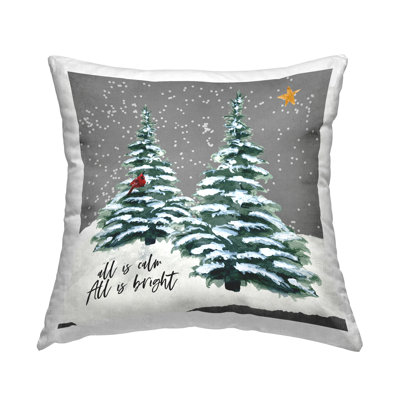 Throw Pillow
