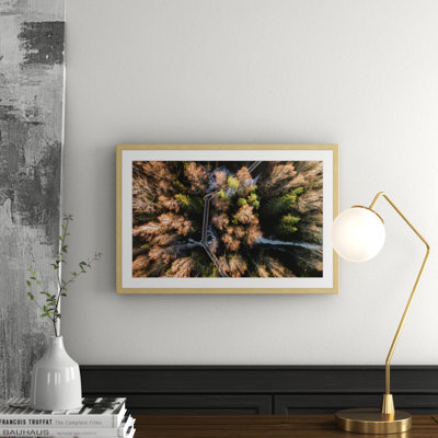 Karolis Janulis - Single Picture Frame Print