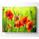 Beautiful Poppies - Wrapped Canvas Print