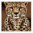 Washable Asiatic Cheetah Big Cats Area Rug-1983224020