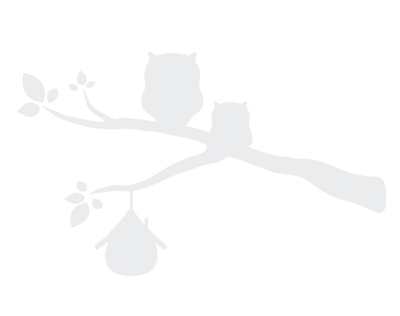 Décalcomanie murale owls sur une branche, H 39 po x l 65 po x P 0,01 po, Blanc