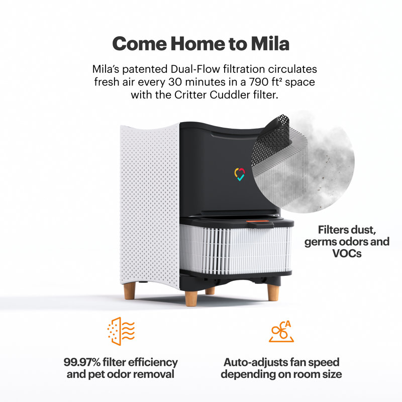 Mila Air Purifier with Home Wrecker Filter for Home Projects