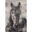Abstract Horse with Typography - Western Metal Print Decor