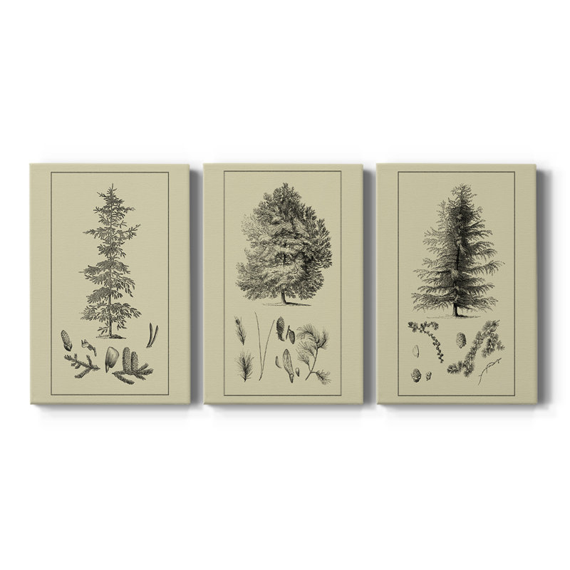 Arbor Study II - Toile tendue avec châssis - 3 pièces, H 12 po x l 24 po