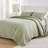 Greenland Home Fashions Vineyard Sage 2-Piece Twin Size Quilt Set 68x88 + 20x26-445108033-424953403