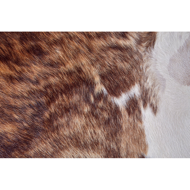 Abernethy Cowhide Animal Print Indoor Rug, 18" x 18"