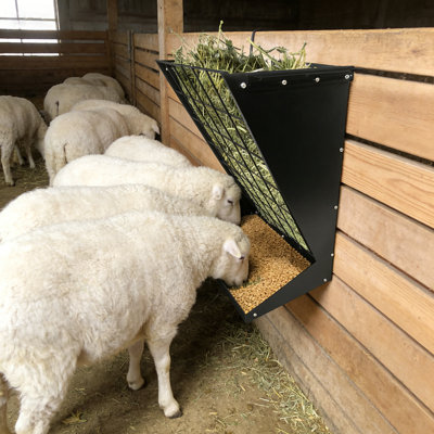 Feeder