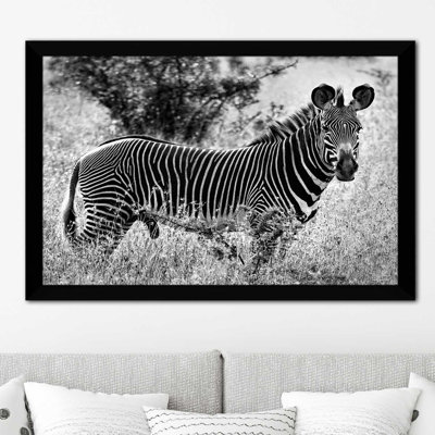 «Zebra Lookout», reproduction de photo